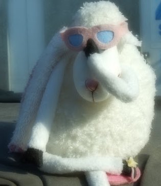 Susan Munson Photo 21