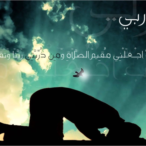 Anas Amer Photo 5