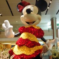 Brenda Rogers Photo 42