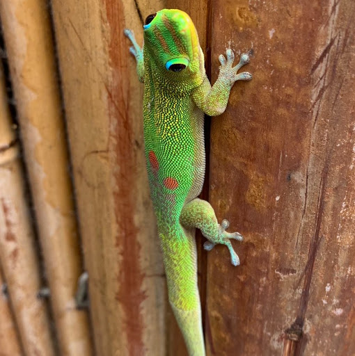 Meredith Walsh Photo 9