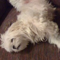 Ann Capps Photo 24