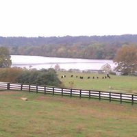 Larry Landis Photo 17