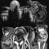 Christopher Ledford Photo 35