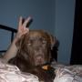 Steven Pullen Photo 3