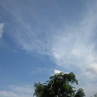 Mary Wallis Photo 9