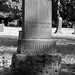 Thomas Driscoll Photo 16