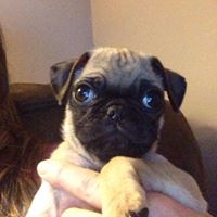 April Richey Photo 13