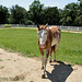 Kathy Rider Photo 29