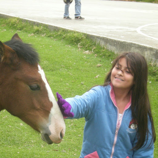 Luis Alvarado Photo 3