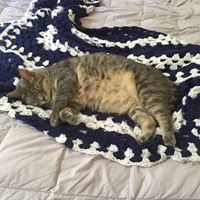 Craig Meredith Photo 14