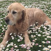 Julie Kantor Photo 8