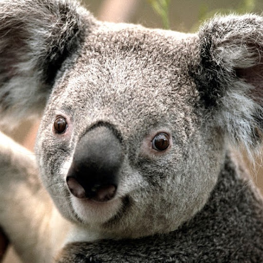 Ted Richards Photo 12