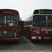 Robert Welsh Photo 19