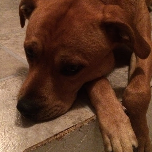 Maria Wilcox Photo 24