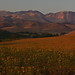 Edna Sharp Photo 11