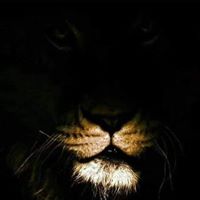 Kirsten Ingram Photo 10