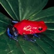 Pamela George Photo 14