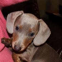 Jackie Ferguson Photo 21