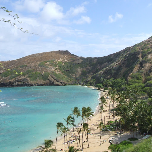 Cindy Ferguson Photo 21