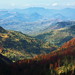 Stephen Nagy Photo 40