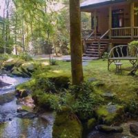 Don Shepherd Photo 26