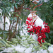 Edwin Berry Photo 7