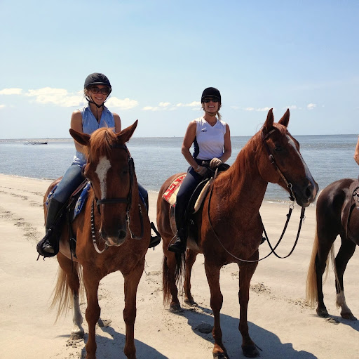 Rachel Allen Photo 12