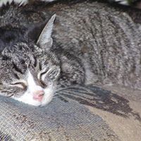 Joan Oliver Photo 25