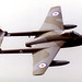 Carolyn Essex Photo 6