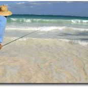 Alan Barton Photo 30