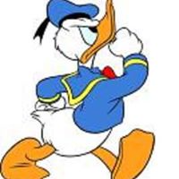 Scott Busch Photo 25