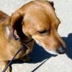 Irene Huerta Photo 3