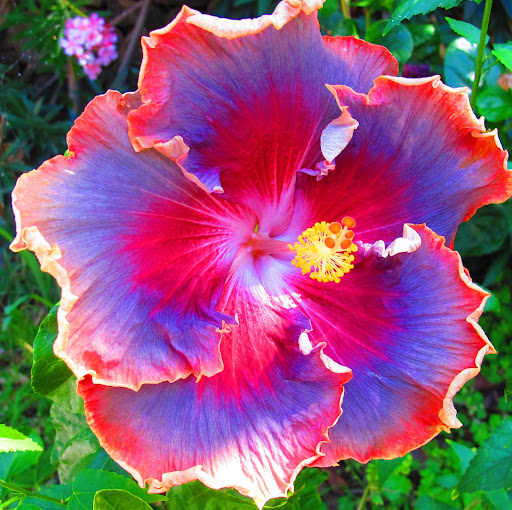 Michael Fish Photo 44