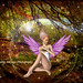 Ada Wing Photo 8