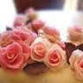 Anna Conti Photo 15