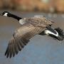 Philip Mcclure Photo 8