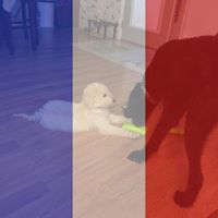 Sheryl Chaney Photo 5