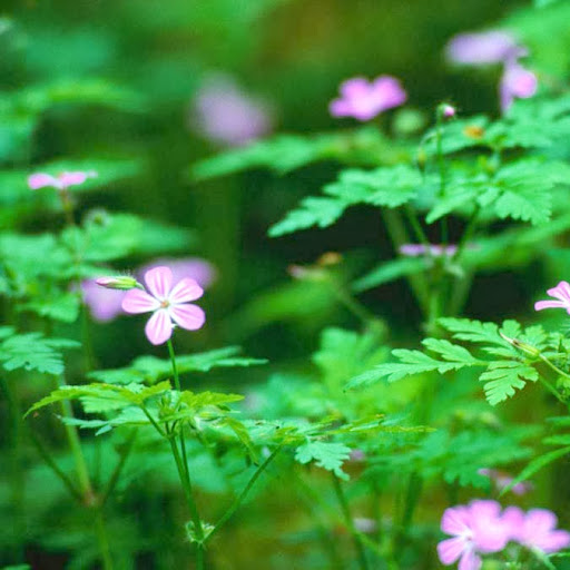 Melissa Bryant Photo 14