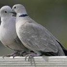 Lois Thacker Photo 9