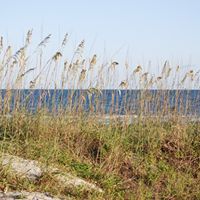 Christie Zimmerman Photo 23