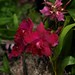 Elaine Taylor Photo 14