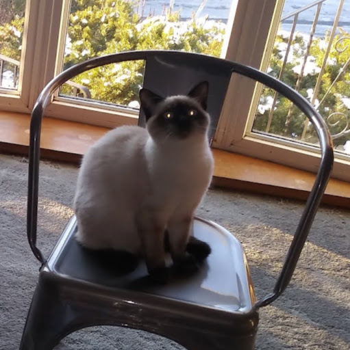 Colleen Sheehan Photo 21