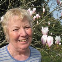 Wendy Barrows Photo 9