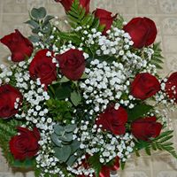 Deborah Holland Photo 29