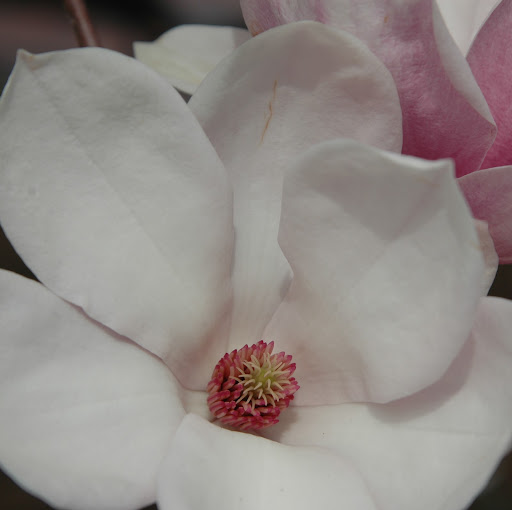 Melanie Gregory Photo 38