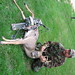 Greg Estep Photo 9