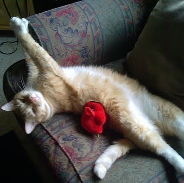 Kathleen Hurley Photo 23