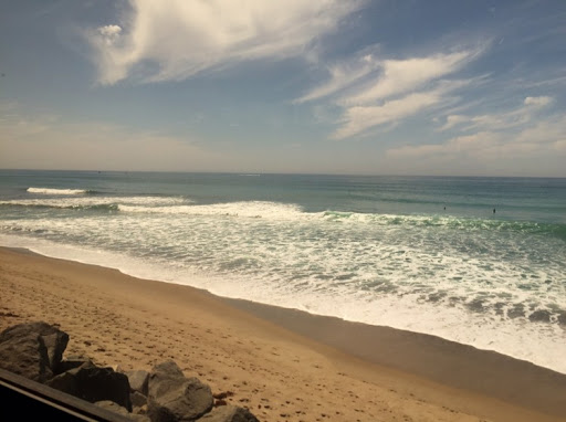 Elizabeth Mills Photo 23