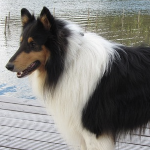 Mark Russell Photo 23 Mark Russell Photo 23