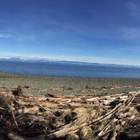 Michelle Stapleton Photo 24